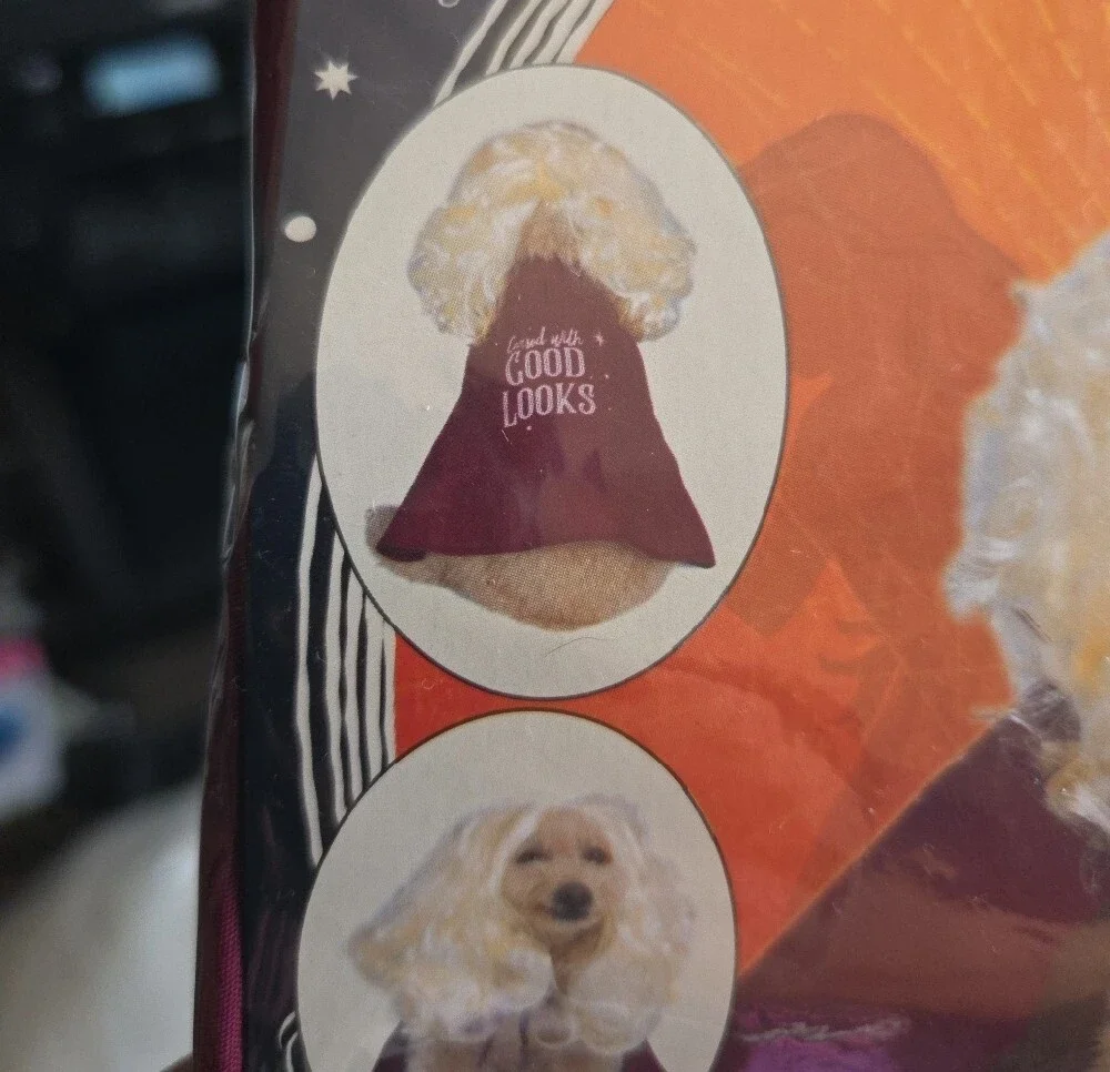 Disney Hocus Pocus Sarah Sanderson Dog Costume -Burgundy & White